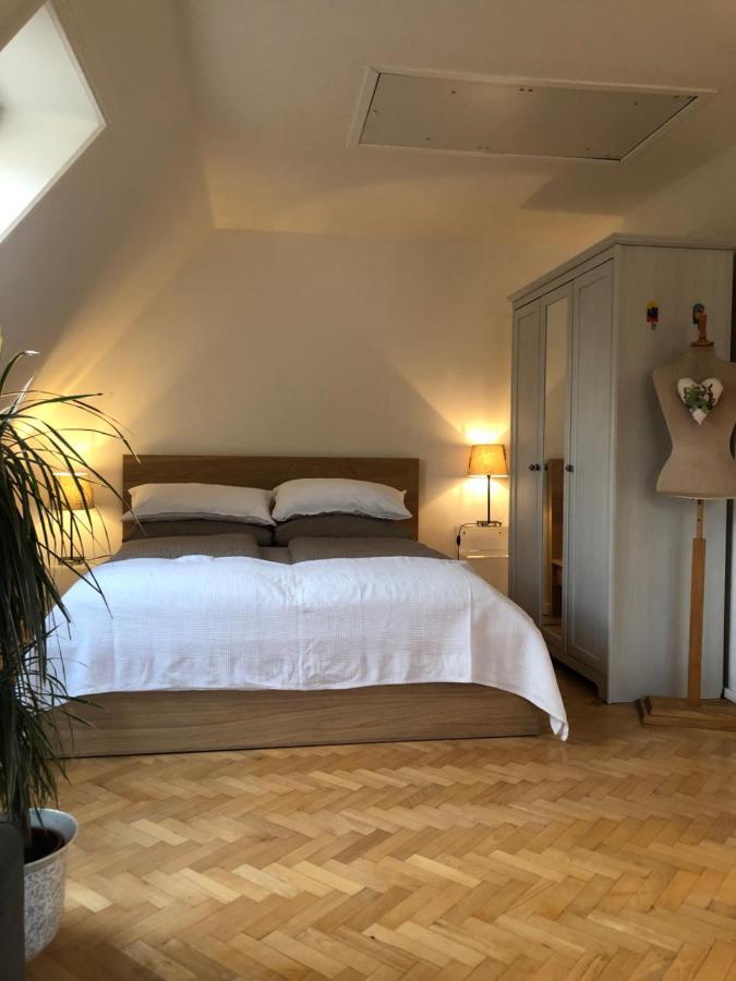 Appartement Im Gruenen 샬베우츠 외부 사진